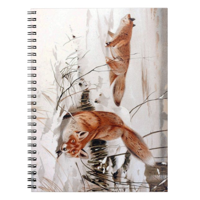 Red Foxes in Snow at Winter (by Wilhelm Kuhnert) Notebook (Front)