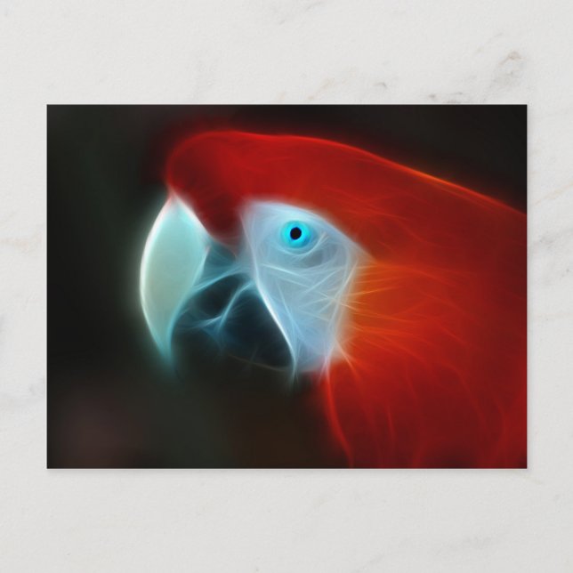 Red Fractal Parrot blue eyes Postcard (Front)