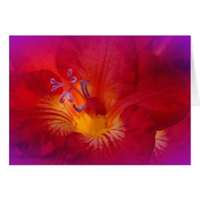 Red Freesia Flower Items (Front Horizontal)