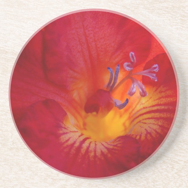 Red Freesia Flower Items Coaster (Front)