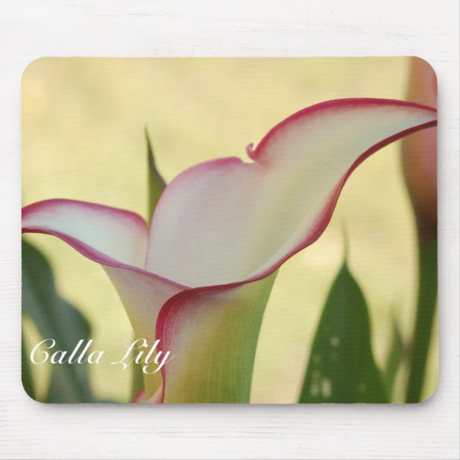 Red Fringe Calla Lily Mouse Pad (Front)