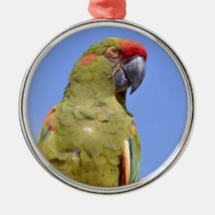 Red-fronted Macaw perched Metal Tree Decoration