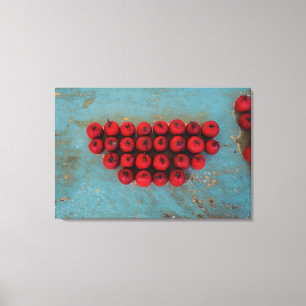Red Fruits Still Life Art Canvas Print