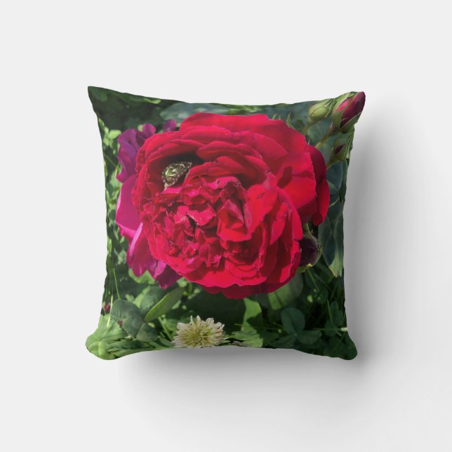 Red garden rose and bug cushion (Front)