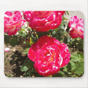 Red Garden Roses Mouse Pad