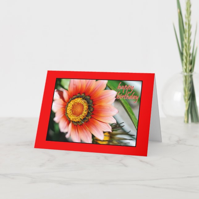 Red Gazania Happy Birthday Card (Front)