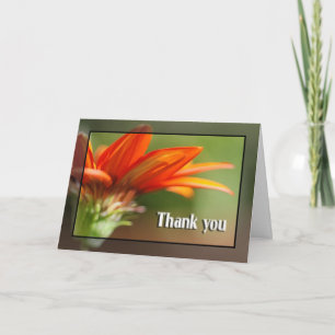 Red Gazania Thank You Card
