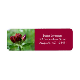 Red Gentian Flower Address Label
