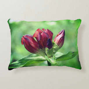 Red Gentian Flower In Bloom Close Up Decorative Cushion