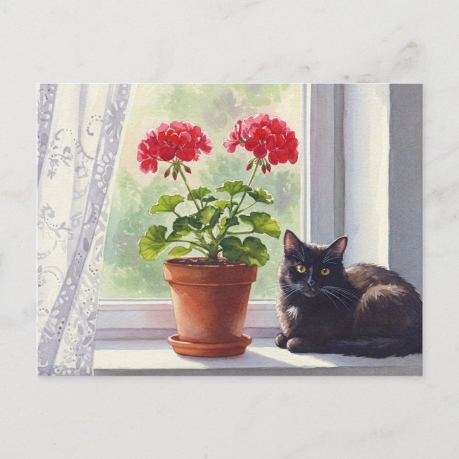 Red Geranium and Black Cat Postcard (Front)