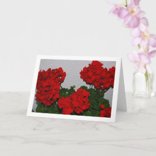 Red Geranium Flowers, Floral Portrait Card