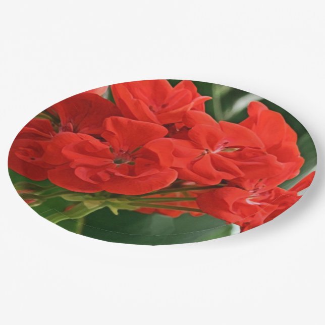 Red Geranium Paper Plate (Angled)