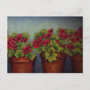 Red Geraniums in clay pots Postcard