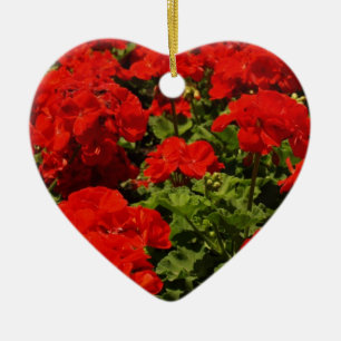 Red Geraniums Ornament