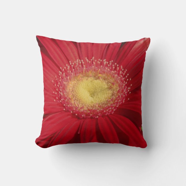 red gerber daisy: Almost solid red pillow (Front)