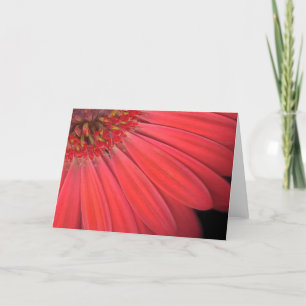 Red Gerber Daisy Card