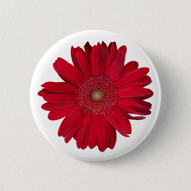 Red Gerber Daisy Close Up Photograph 6 Cm Round Badge (Front)