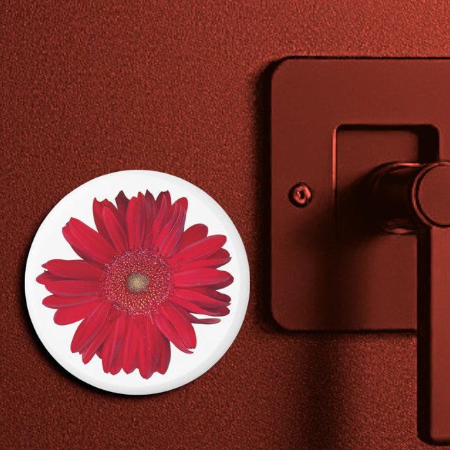 Red Gerber Daisy Close Up Photograph Magnet (3" round magnet)