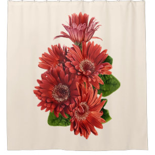 Red Gerbera Daisies Shower Curtain