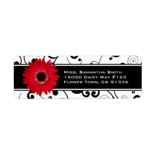 Red Gerbera Daisy Black & White Scroll