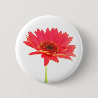 Red Gerbera Daisy Floral Button