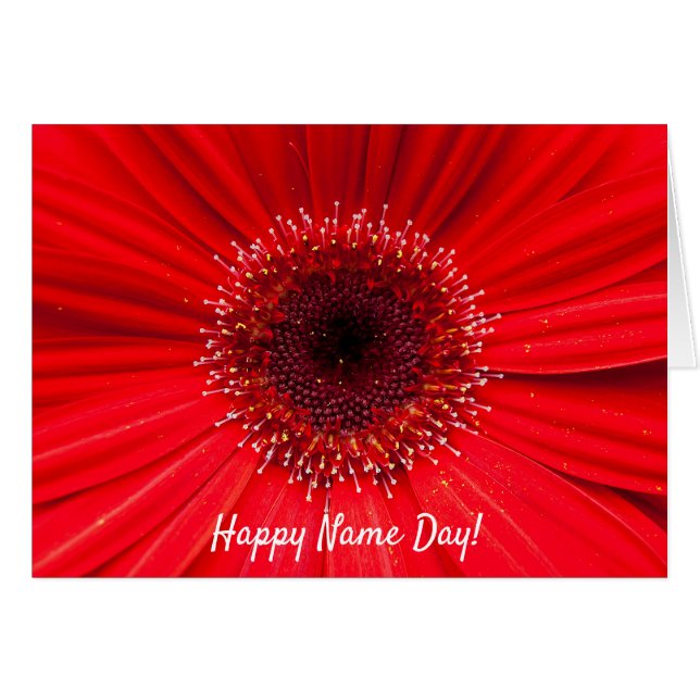 Red Gerbera Daisy for Name Day (Front Horizontal)