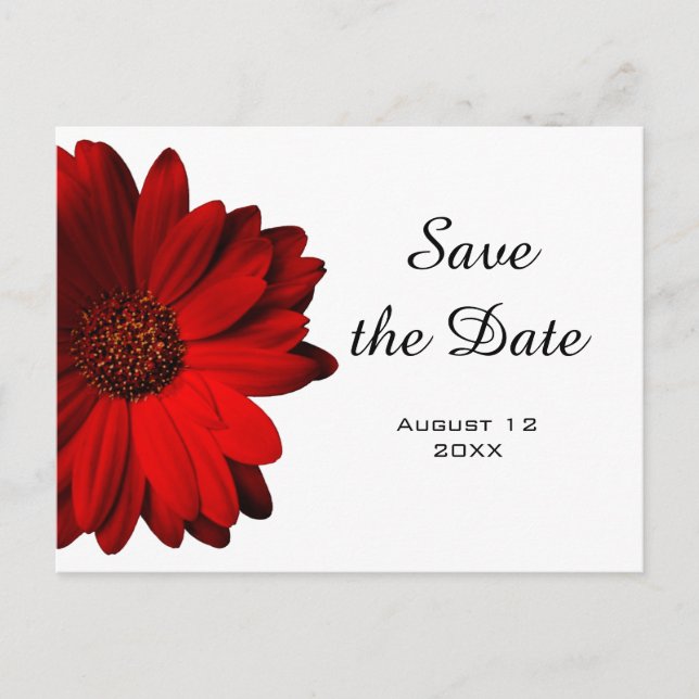 Red Gerbera Daisy Save the Date Postcard (Front)