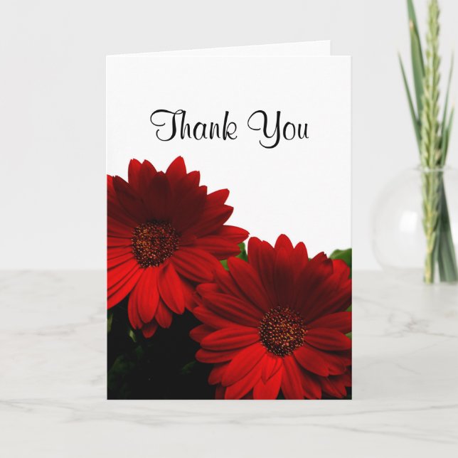 Red Gerbera Daisy Thank You Card (Front)