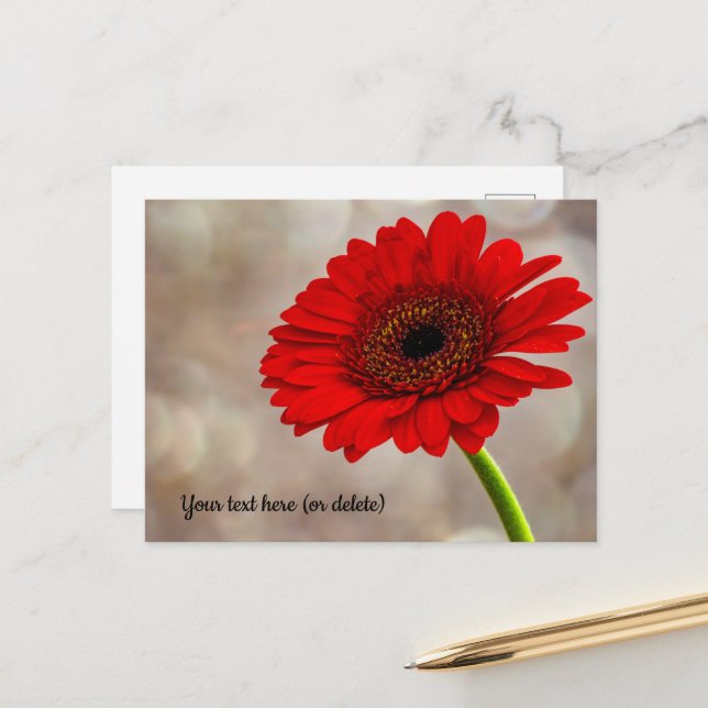 Red Gerbera Postcard (Front/Back In Situ)