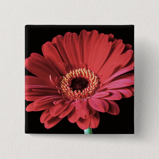 Red Gerbera square button (Front)