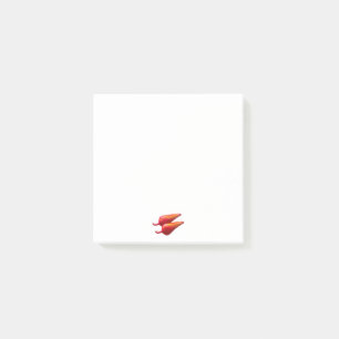 Red Ghost Dance Buffalo white note pads