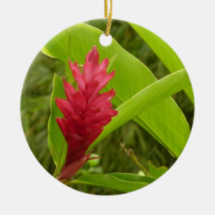 Red Ginger Flower (Alpinia) Tropical Ceramic Tree Decoration
