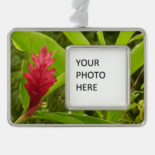 Red Ginger Flower (Alpinia) Tropical Silver Plated Framed Ornament