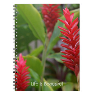 Red Ginger Flowers Kauai (my photography) Notebook