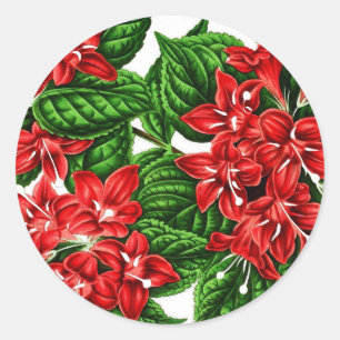 Red ginger flowers, vintage print classic round sticker