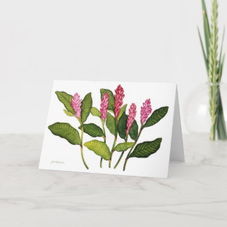 Red Ginger Holiday Card