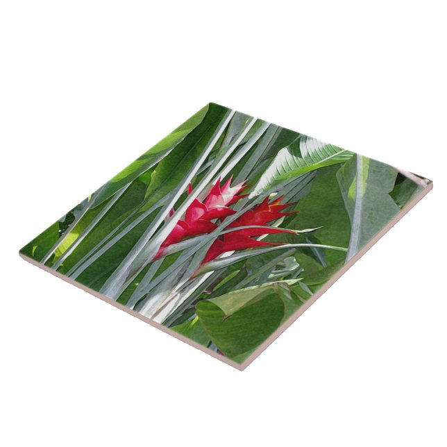 Red Ginger Tile (Side)