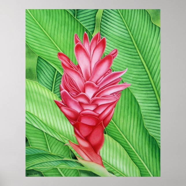 Red Ginger Watercolour Poster (Front)