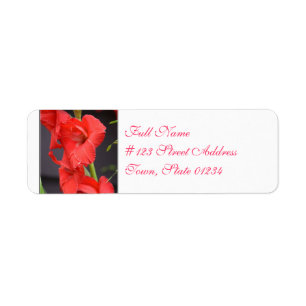 Red Gladiola Flowers