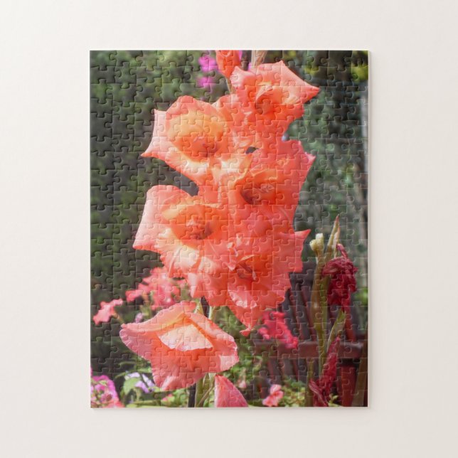 Red Gladioli Flowers Jigsaw Puzzle (Vertical)