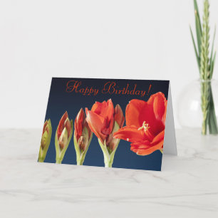 Red Gladiolus Birthday Card