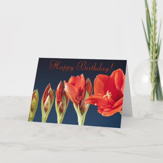 Red Gladiolus Birthday Card (Front)