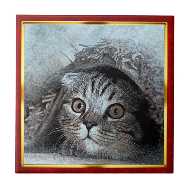 Red & Gold Framed Abstract Cat Print Tile (Front)