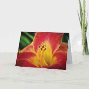 Red Gold Lily Flower Note Card