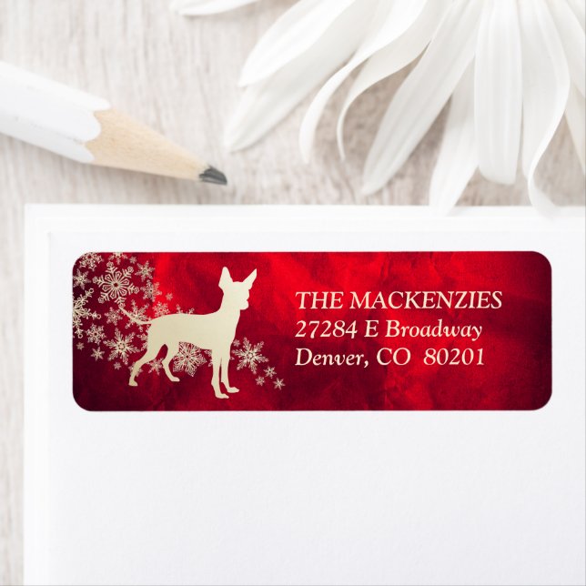 Red Gold Winter Toy Terrier Return Address (Insitu)