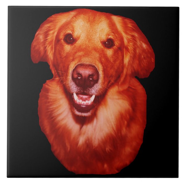 Red Golden Retriever Dog Lover Kitchen Tile (Front)