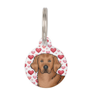 Red Golden Retriever Dog Portrait With Cute Hearts Pet Tag