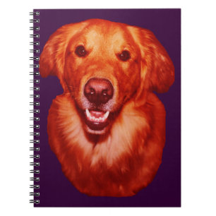 Red Golden Retriever Front Profile Spiral Notebook