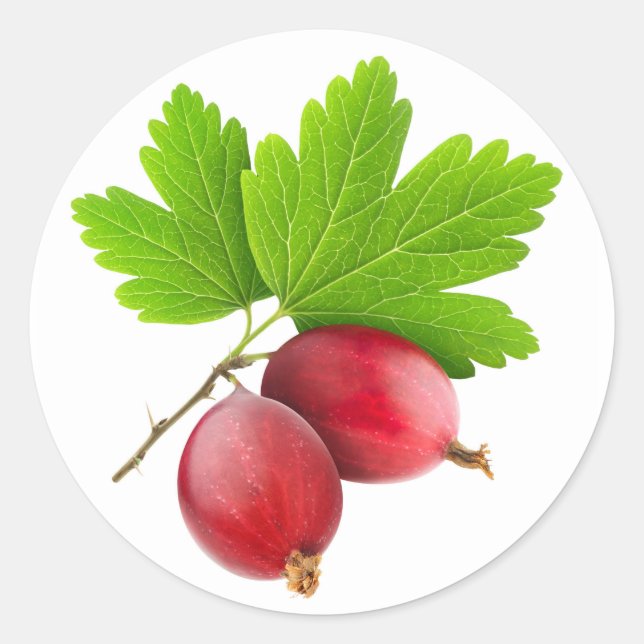 Red gooseberries classic round sticker (Front)