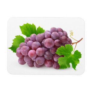 Red grape magnet